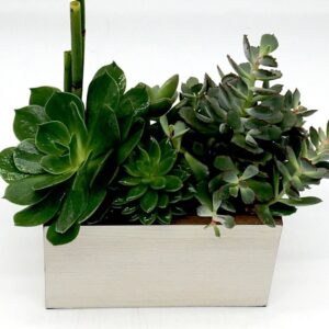big-flowers-nyc-delivery-arrangements-109